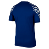 PSG Jordan 24/25 Fourth Jersey PSG Jordan 24/25 Fourth Jersey