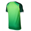 Nigeria 2026/27 Nike Youth Home Jersey Nigeria 2026/27 Nike Youth Home Jersey
