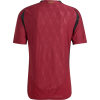Belgium 24/25 Authentic Home Jersey Belgium 24/25 Authentic Home Jersey