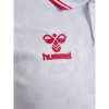 Denmark 24/25 Away Jersey