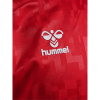Pierre-Emile Højbjerg – Denmark 24/25 Home Jersey Pierre-Emile Højbjerg – Denmark 24/25 Home Jersey