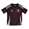 Mexico 24/25 Mini Home Kit