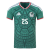 Roberto Alvarado Mexico 26/27 Authentic Home Jersey Roberto Alvarado Mexico 26/27 Authentic Home Jersey